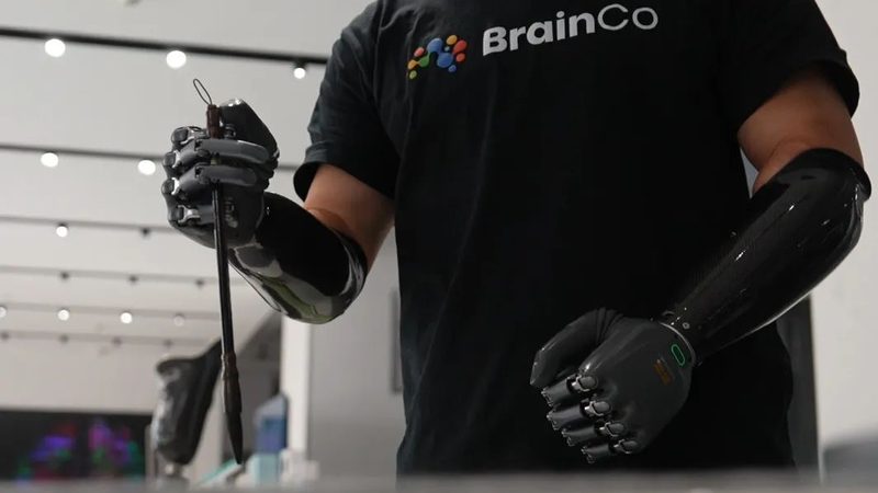 科技公司选择：从性能到合规的全面考量**